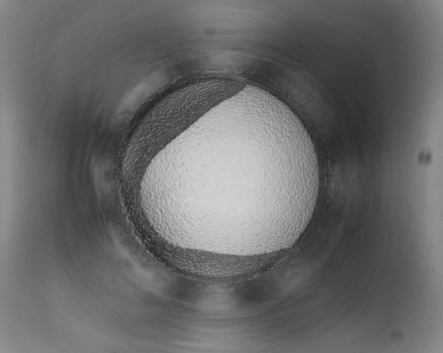 X0000112490692200909071221
