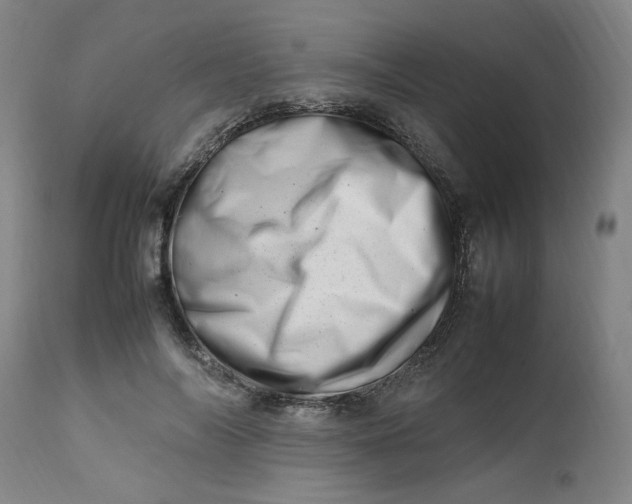 X0000112490694200909071221