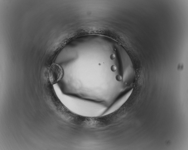 X0000112490695200909071221