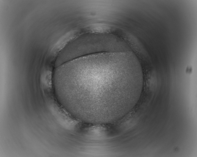 X0000112490696200909071221