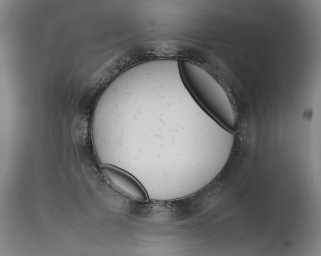 X0000112490697200909071221