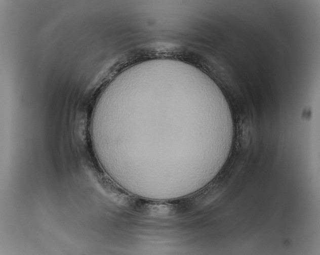 X0000112490698200909071221