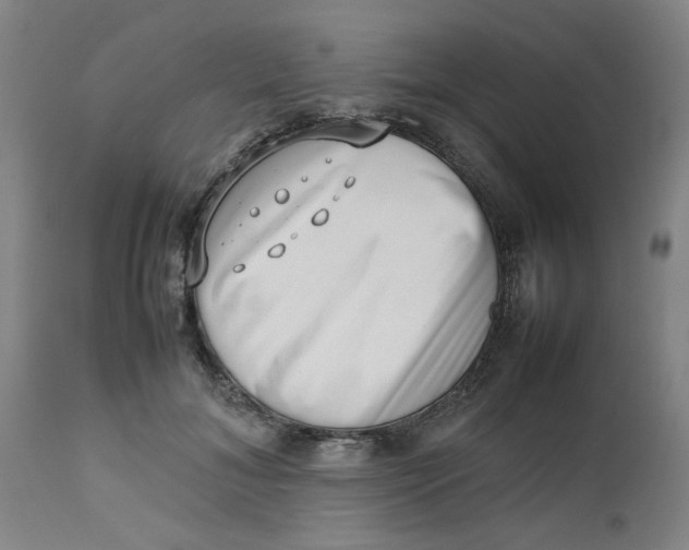 X0000112490700200909071221