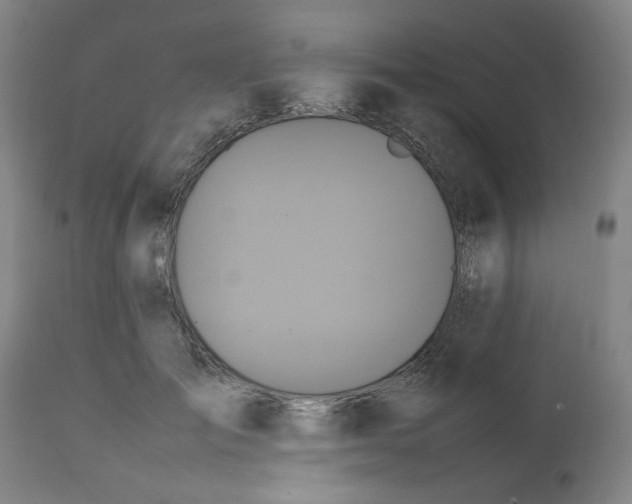 X0000112490701200909071221