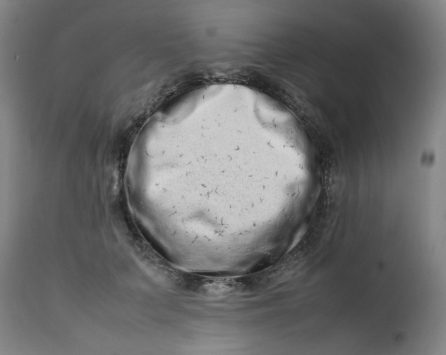 X0000112490703200909071221