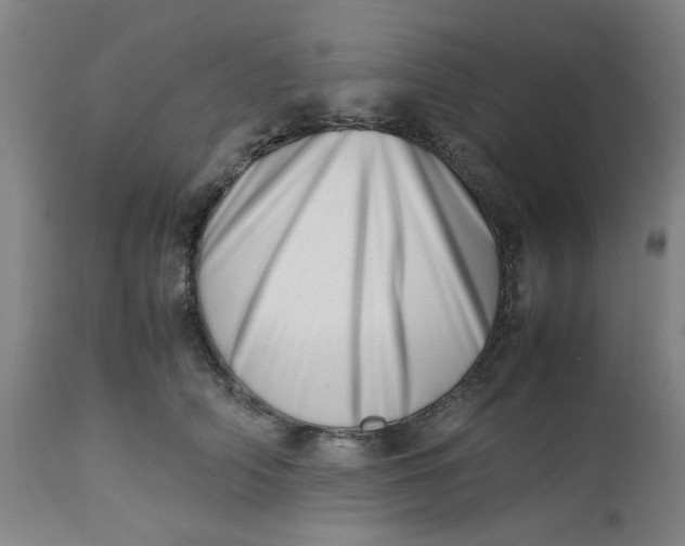 X0000112490706200909071221