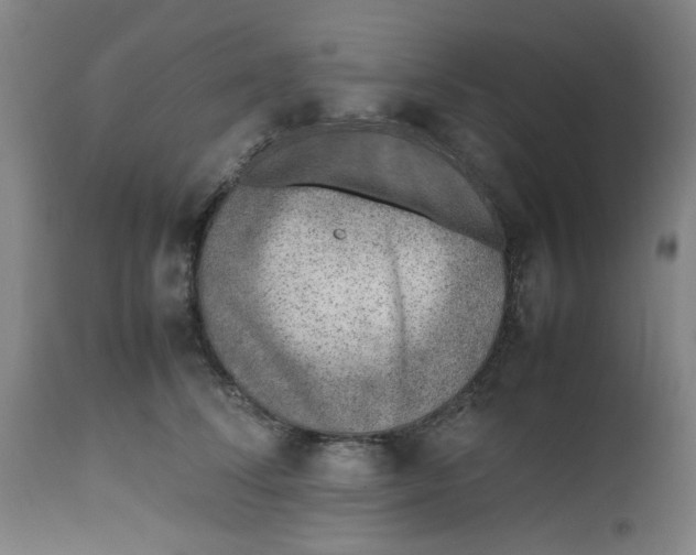 X0000112490708200909071221
