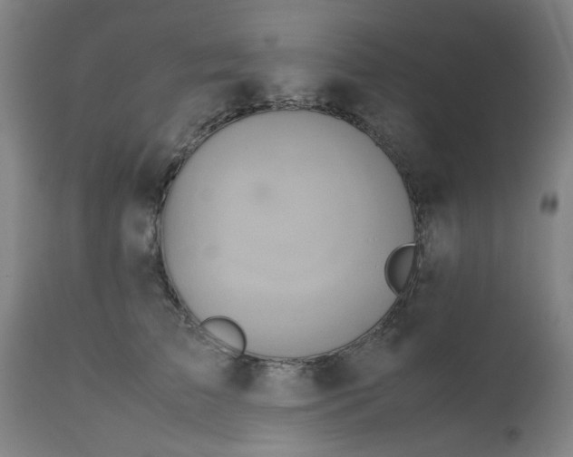 X0000112490709200909071221