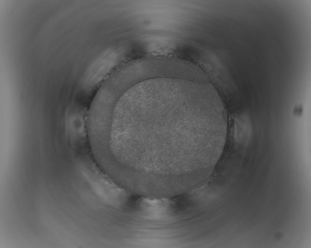 X0000112490712200909071221