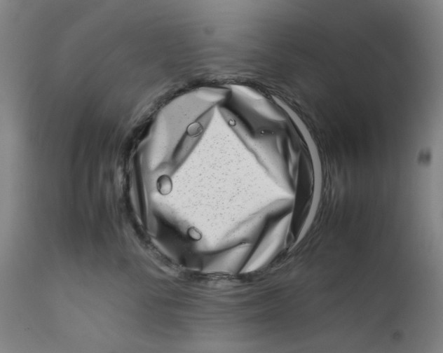 X0000112490716200909071221