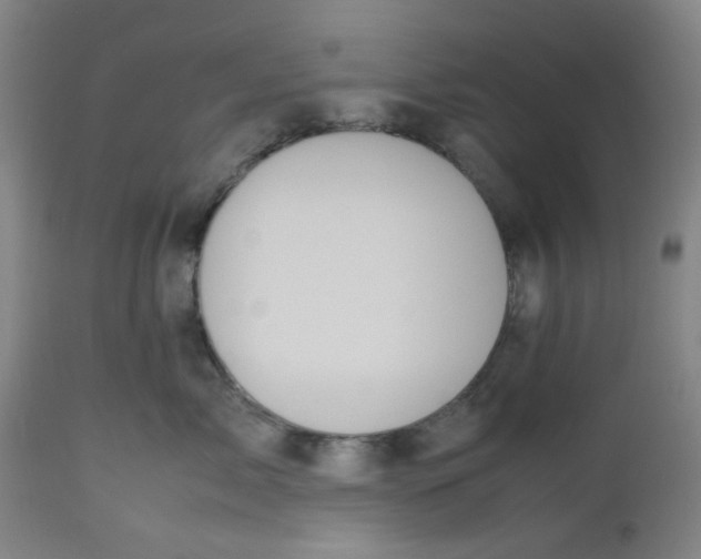 X0000112490717200909071221