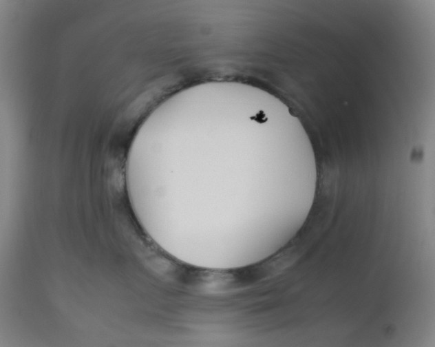 X0000112490719200909071221