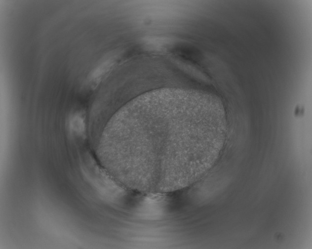 X0000112490720200909071221