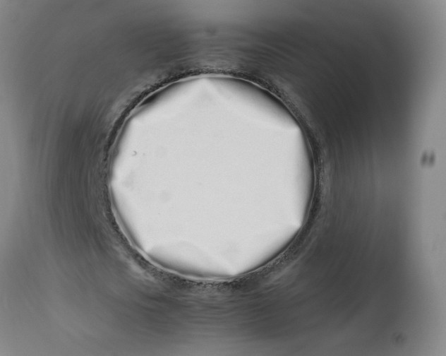 X0000112490721200909071220