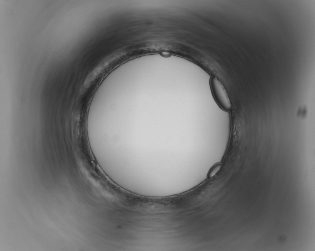 X0000112490722200909071220