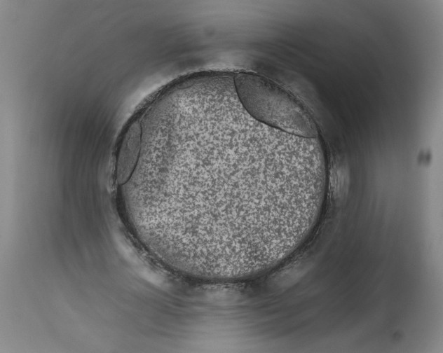 X0000112490724200909071220