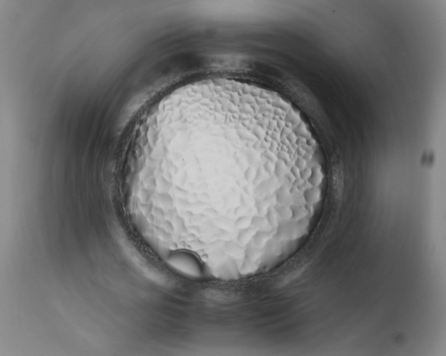 X0000112490725200909071220