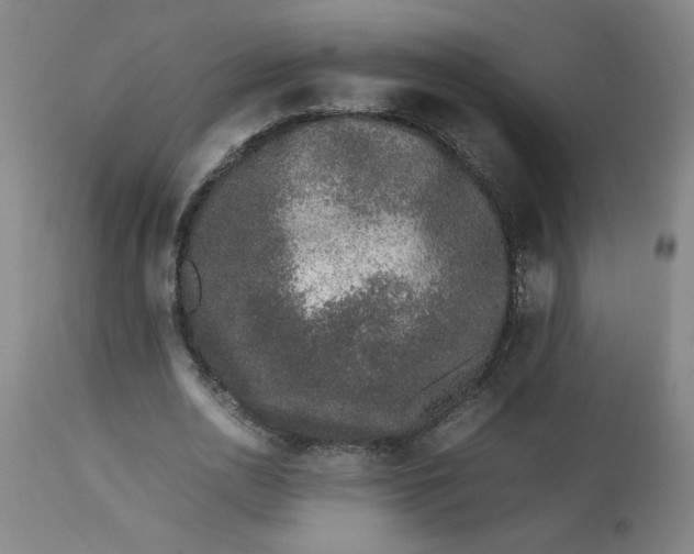 X0000112490726200909071220