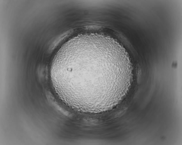 X0000112490729200909071220