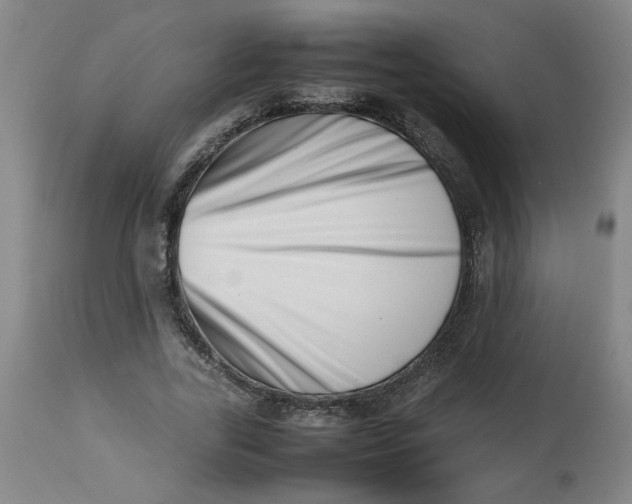 X0000112490731200909071220