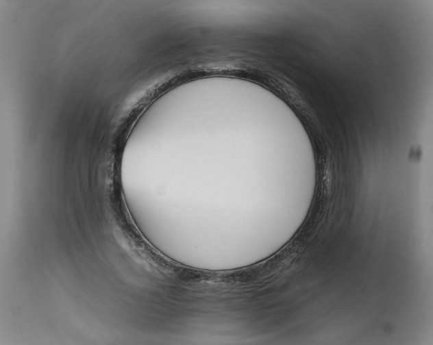 X0000112490732200909071220