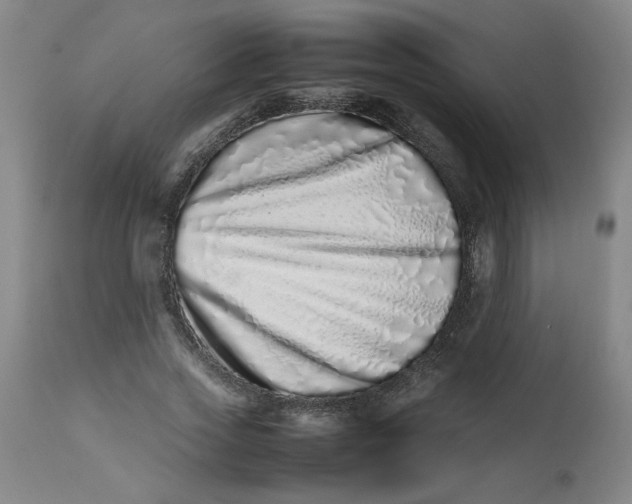 X0000112490733200909071220