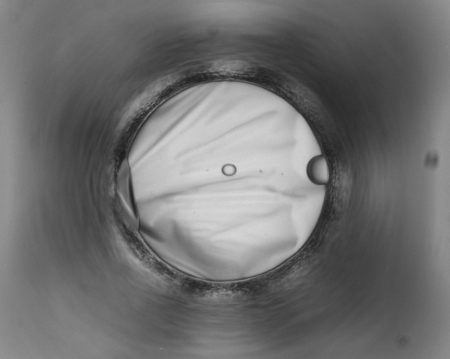X0000112490734200909071220