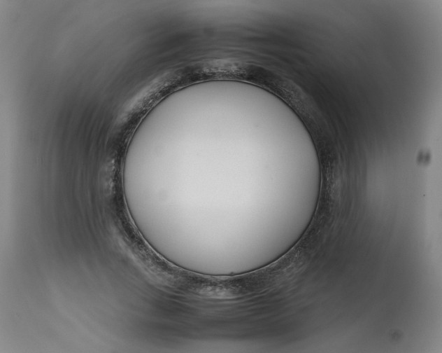X0000112490735200909071220