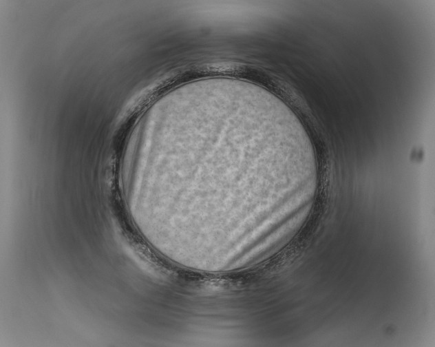 X0000112490736200909071220