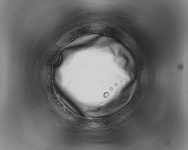 X0000112490737200909071220