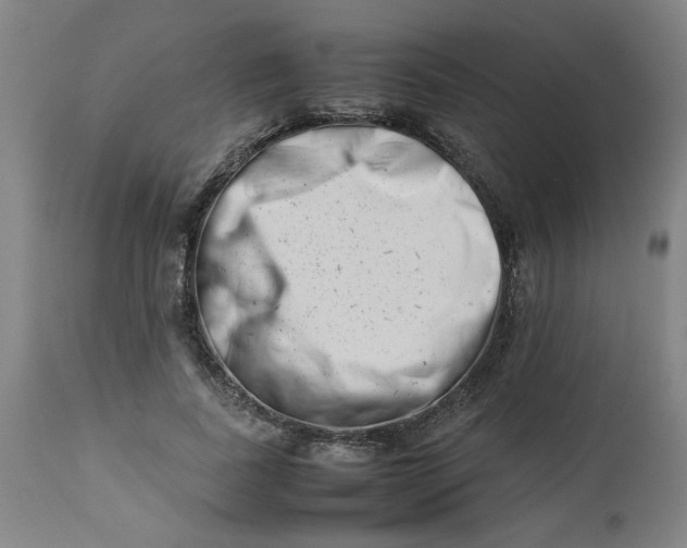 X0000112490739200909071220