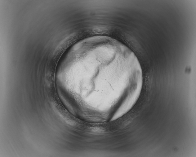 X0000112490741200909071220