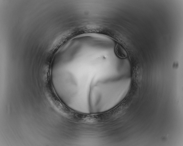 X0000112490742200909071220