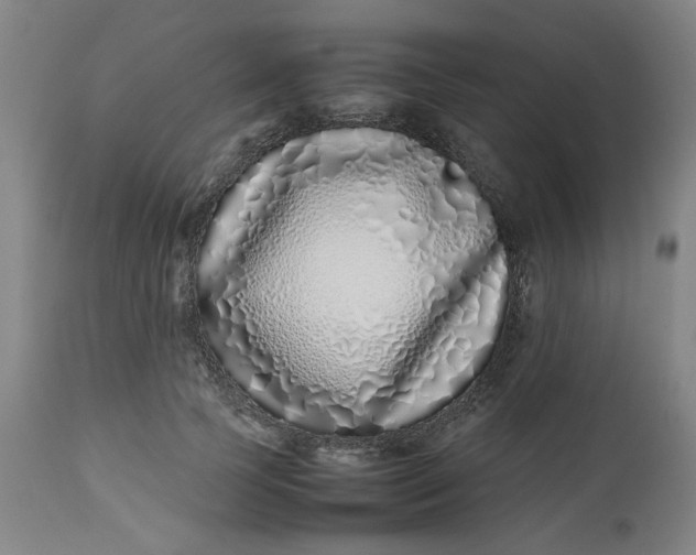X0000112490745200909071220