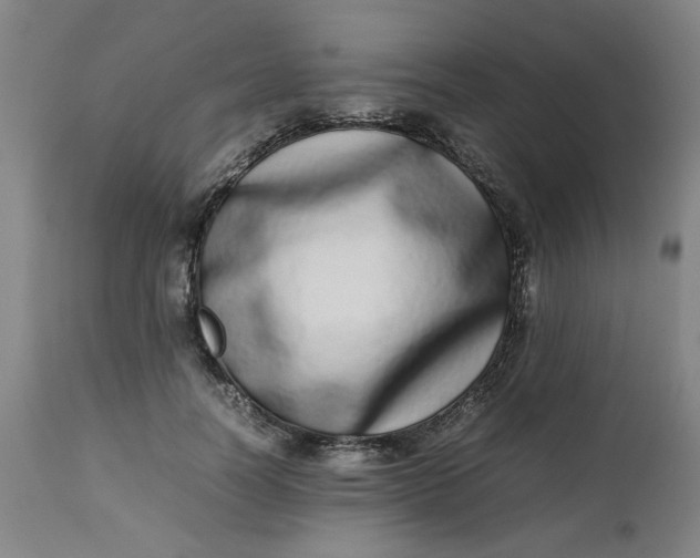 X0000112490746200909071220