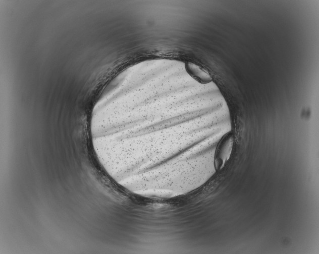 X0000112490748200909071220