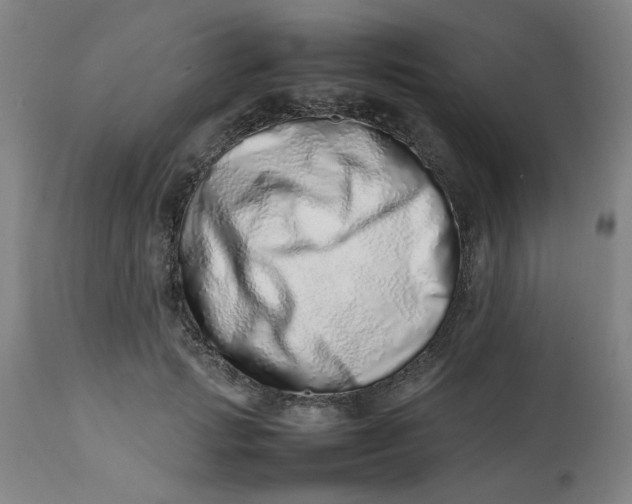 X0000112490749200909071220