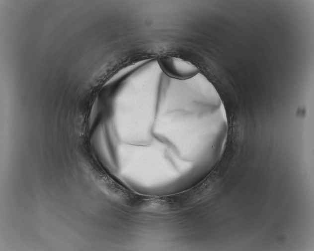 X0000112490750200909071220