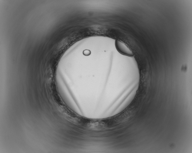 X0000112490752200909071221