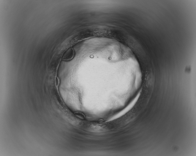 X0000112490753200909071221