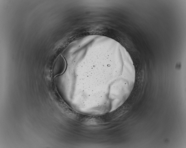 X0000112490755200909071221