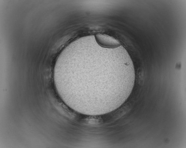 X0000112490756200909071221
