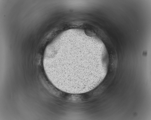 X0000112490758200909071221
