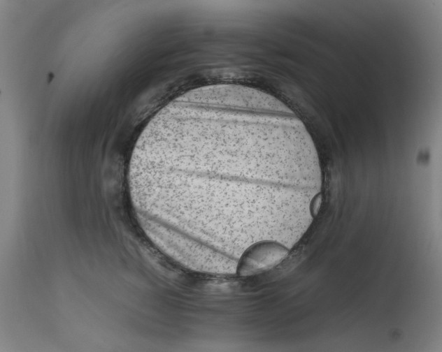 X0000112490760200909071221