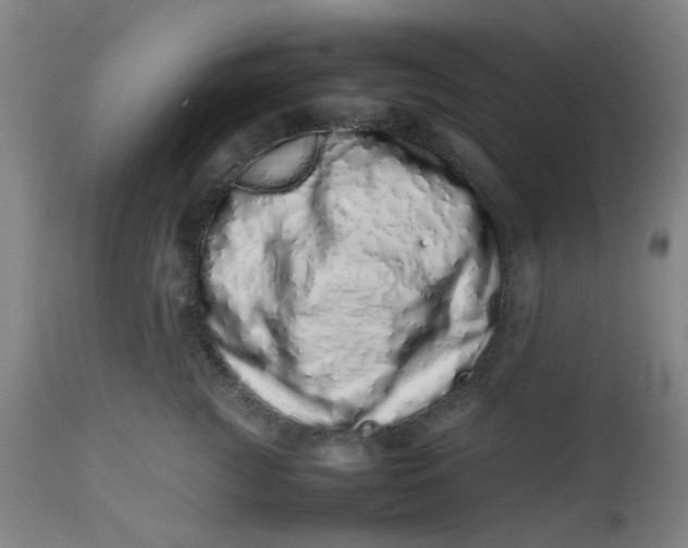 X0000112490761200909071221
