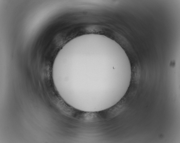 X0000112490762200909071221