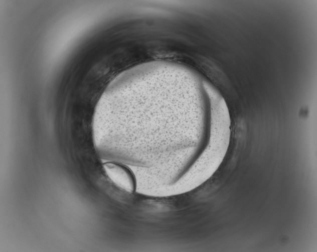 X0000112490763200909071221
