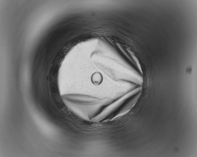 X0000112490764200909071221