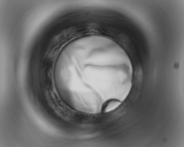 X0000112490765200909071221