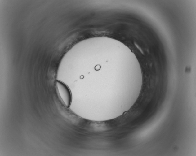 X0000112490767200909071221